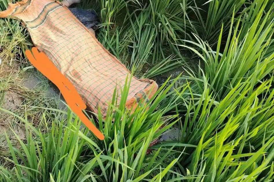 লালমাইয়ে ধানক্ষেতের পাশ থেকে স্কুলছাত্রীর মরদেহ উদ্ধার